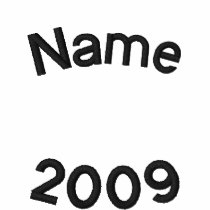 Name, 2009 embroidered shirt