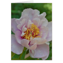 Nameless and Fragrant Greeting Card
