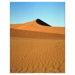 Namib Desert Flyer Design