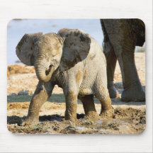 Namibia, Africa: Baby African Elephant Mousepads