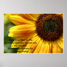 Nancys_sunflower Posters