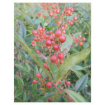 Nandina Berries flyers