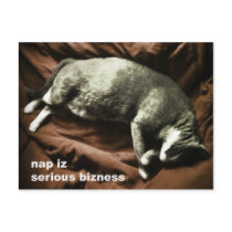 Nap Postcard