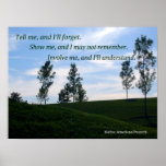 NAP posters