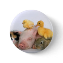 Nap Time for the Animals Pin