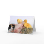 Nap Time for the Animals Card