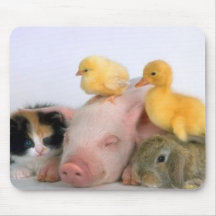 Nap Time for the Animals Mousemat