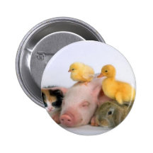 Nap Time for the Animals Pin