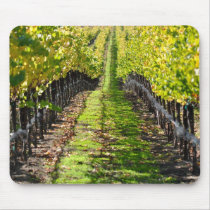 Napa Valley California Grape Vineyard Mousemats