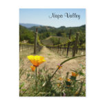 Napa Valley Spring Postcard