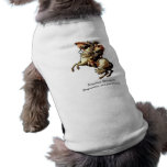 Napoleon Bonaparte Pet Clothing pet clothing