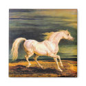 Napoleon's Marengo magnets