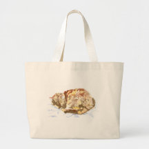 Napping Cat Bag