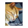 NAPPING CAT: I LIVE TO NAP POSTCARDS