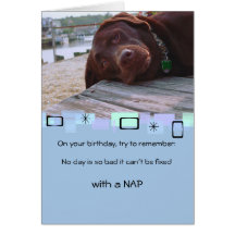 Napping Chocolate Lab All Occasion Greeting Card