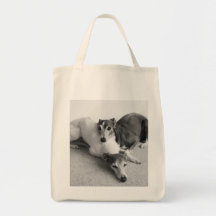 Napping Italian Greyhounds Canvas Bags