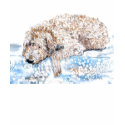 Napping Labradoodle T-shirt