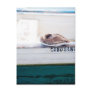 Napping Pelican Postcard