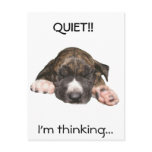 Napping Puppy Postcard