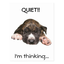 Napping Puppy Postcard