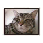 Napster Post Cards