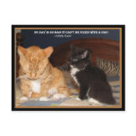 Naptime! postcards
