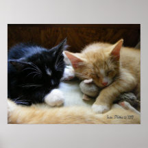 "Naptime" Posters
