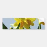 Narcissus  Bumper Stickers