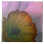 Narcissus Petals - white yellow flower photography Tile