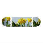 Narcissus   Skateboard
