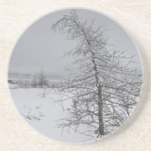 Narnia Coasters