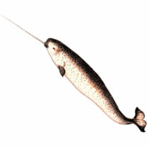 Narwhal Cutout Magnet/Sculpture