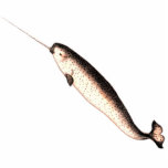 Narwhal Cutout Magnet/Sculpture photo sculptures