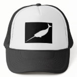 Narwhal hat