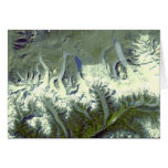 NASA Bhutan Himalayas cards