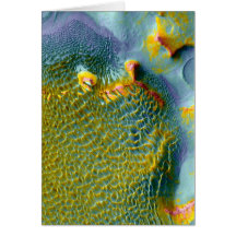 NASA Mars THEMIS Rabe Crater Greeting Card