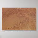 NASA Mars Yardangs posters