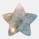 NASAs Carina Star Sticker