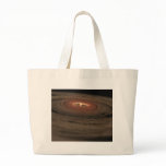 NASAs - Mini Solar System in the Making bags