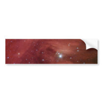 NASAs - Pink Pleiades Bumper Sticker
