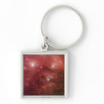 NASAs - Pink Pleiades keychains