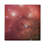 NASAs - Pink Pleiades magnets