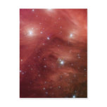 NASAs - Pink Pleiades postcards