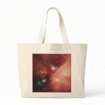 NASAs Young Stars bags