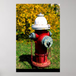 Nashville fire hydrant posters