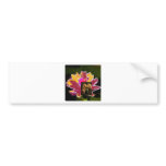 nass lilys bumper stickers