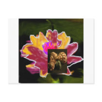 nass lilys postcards