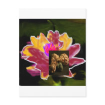 nass lilys post cards
