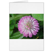 Nasse rosa Kleeblüte Karte