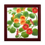 Nasturtium Garden Flowers Gift Box